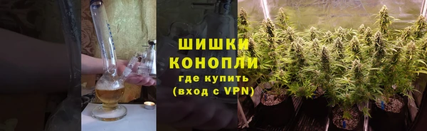 ECSTASY Белокуриха