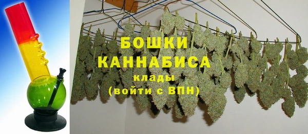 ECSTASY Белокуриха